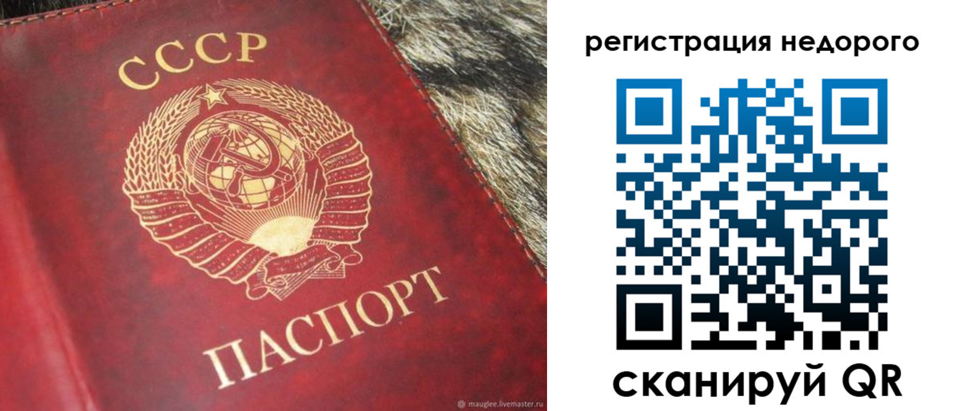 прописка ребенка в Рославле